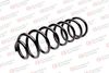 Фото Пружина задняя AUDI A495-11/00 Standard Springs ST102002R Standard Springs