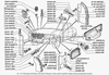 Фото Вставка облицовки радиатора пластм. ЛЕВАЯ ГАЗ-3110 Газ 31108401193 Газ