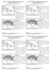 Фото Подкрылок MITSUBISHI ASX, 2010-2016, 2016-2019 (задний правый) / Митсубиси АSХ Autofamily TOTEM3539004 Autofamily