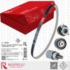 Фото РЕМЕНЬ ГРМ 173X1384X25 HNBR+PTFE + 3 РОЛИКА CHERY ДВ. SQR481, SQR484, Rosteco 22795 Rosteco