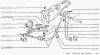 Фото чехол вилки выключения сцепления ваз 1111 ока Автоваз 11111601211 Автоваз