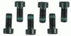 Фото Комплект болтов маховика  6шт. M10x1x22            Sachs 1874000003 Sachs