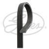 Фото Ремень генератора Skoda (Octavia Tour) Gates__ Gates 6DPK1195 Gates