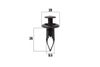 Фото КЛИПСЫ АВТОМОБИЛЬНЫЕ TOYOTA LAND CRUISER PRADO LEXUS IS300 Kraft KT106230 Kraft