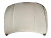Фото Капот CHERY ARRIZO 8 Dar 553000173AADYJ Dar