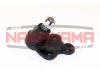 Фото Опора шаровая нижняя Honda CR-V 07- Nakayama K1411 Nakayama