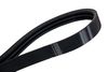 Фото РЕМЕНЬ МНОГОРУЧЬЕВОЙ HANSE 3HB-2650Lp Globelt 3HB2650LP Globelt