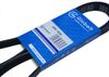 Фото Ремень Приводной (5PK1690) Globelt 5PK1690 Globelt