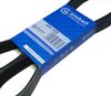Фото Ремень 8PK1420 генератора Cummins EQB180-20 B,ISBе,ISDe,QSB, КамАЗ-4308,ПАЗ Globelt 8PK1420 Globelt