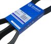 Фото 8PK1650_GLOBELT_Ремень приводной поликлиновой EPDM Globelt 8PK1650 Globelt