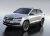 Фото порог-площадка black f180alb + комплект крепежа, rival, skoda karoq Rival F180ALB51031 Rival