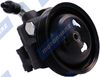 Фото Насос гидроусилителя руля P1669HG MotorHerz Motorherz P1669HG Motorherz