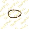 Фото ПРОКЛАДКА ВПУСКНОГО КОЛЛЕКТОРА RENAULT LOGAN (05-14), MEGANE II (03-09) Deppul DEVK077 Deppul