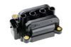 Фото Катушка зажигания без проводов RENAULT MODUS/GRAND MODUS 1.2 16V, 1.2, CLIO III 1.2 16V, 1.2, KANGOO 1.2 16V 01: DACIA SANDERO 1.2 16V 08- Nty ECZRE004A Nty