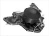Фото Помпа водяная Mitsubishi Montero Airtex 7152 Airtex