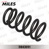 Фото Пружина подвески HONDA CR Miles DB43051 Miles