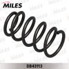 Фото Пружина подвески HYUNDAI SANTA FE 4WD 1105- задняя Miles DB43113 Miles