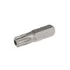 Фото Бита (вставка) TORX T35  L=25мм с центральным отверстием Jtc JTC1142535 Jtc