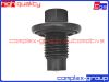 Фото Пробка резьбовая 1013938 2261879 031132 CGA 1BNG0017RA CGA