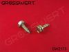 Фото Саморез 4,8x16 mm BMW Grosswert GW2173 Grosswert