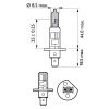 Фото z/Лампа галоген H1 12/55W к-�т 2шт "PHILIPS" +130% X-TREME VISION Philips 12258XVS2 Philips