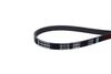 Фото Ремень поликлиновой 4PK855 VW/AUDI/BMW/SKODA Volram VR13126 Volram