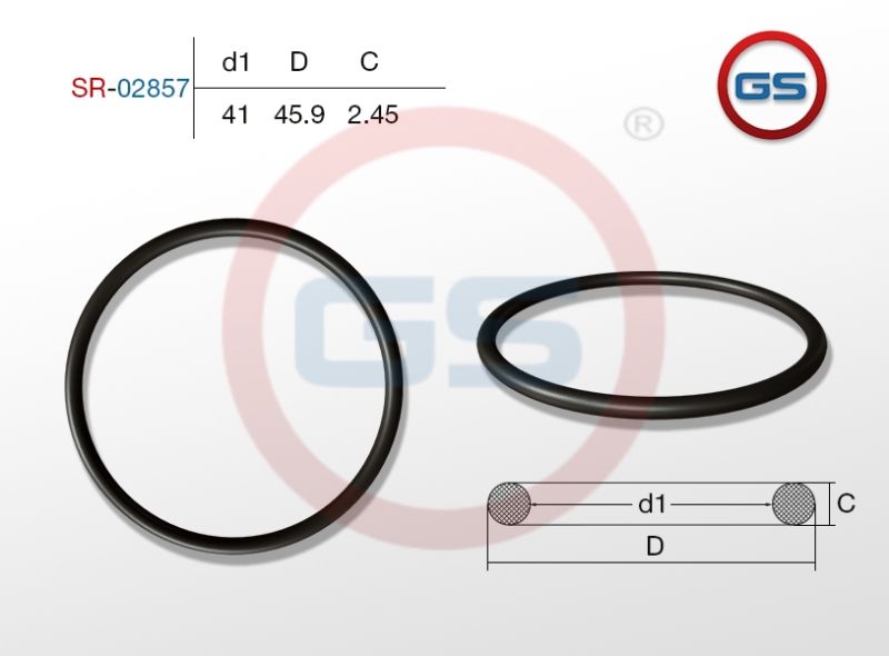 Резиновое кольцо 41 2.45 sr02857 GS