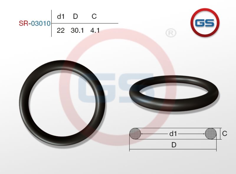 Резиновое кольцо 22 4.1 sr03010 GS