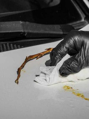 Спрей очиститель антитополь LAVR ANTI POPLAR  0,18