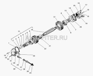 ШестерняприводаспидометраУРАЛведомаяz22i805АОАЗУРАЛ 43202380203510 УралАЗ