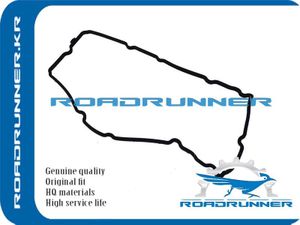 Прокладка клапанной крышки RR132707S000 Roadrunner