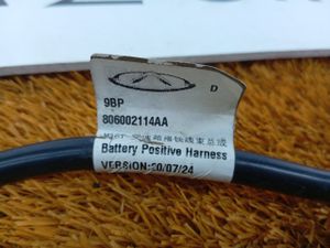 Б/у  806002114AA Провод массы Exeed VX 2022  SQRF4J20C    Провод массы. by4k27230 Б/У запчасти