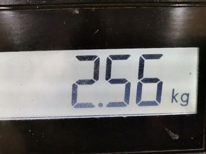 Б/у  13810PLC003 Шкив коленвала Honda Civic 7 (2000-2006) 2003 Хетчбэк 3дв. 5МКПП bu6a1952893 Б/У запчасти