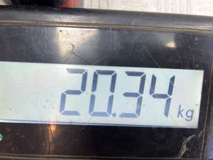 Б/у  205/60R16 Шины Seat Ibiza 5 (2017-2024) 2022 Хетчбэк 5дв. Робот bu6a2212695 Б/У запчасти